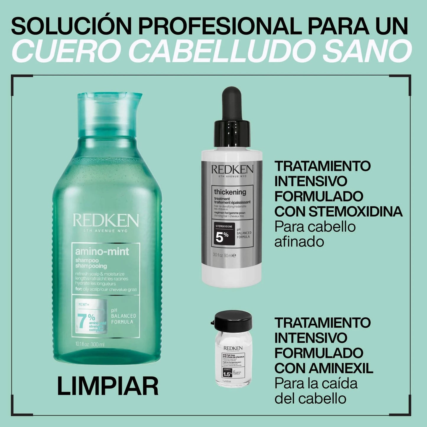 Amino-Mint Champú